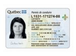 Canadian Drivers License